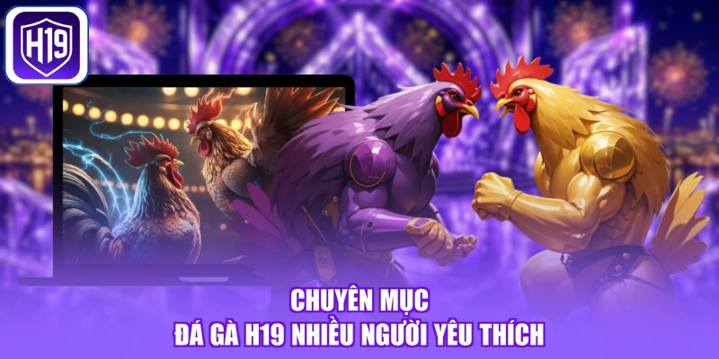 Chuyên mục đá gà H19 nhiều người yêu thích