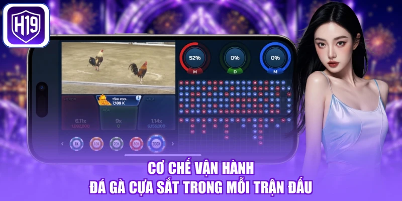 Cơ chế vận hành đá gà cựa sắt trong mỗi trận đấu