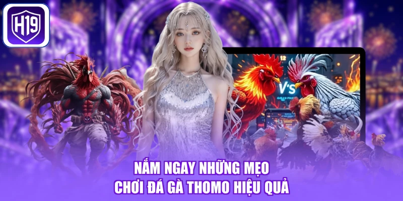 Nắm ngay những mẹo chơi đá gà Thomo hiệu quả