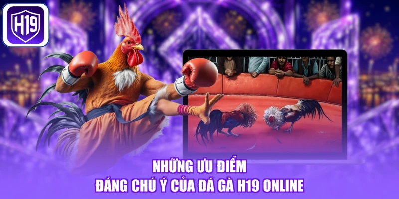 Những ưu điểm đáng chú ý của đá gà H19 online