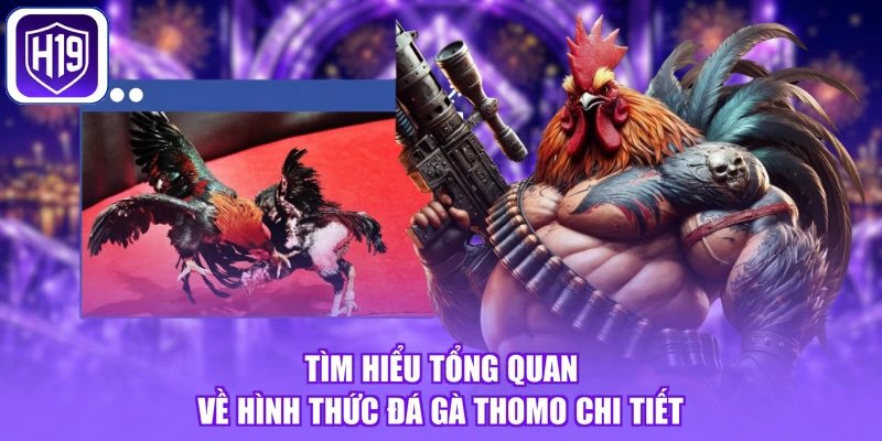 Tìm hiểu tổng quan về hình thức đá gà Thomo chi tiết
