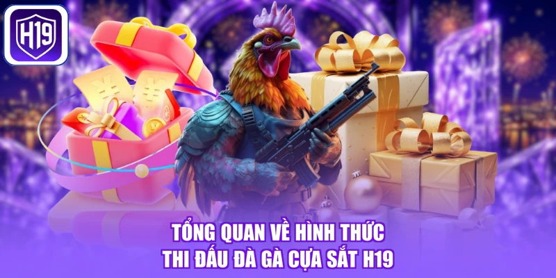 Tổng quan về hình thức thi đấu đà gà cựa sắt H19